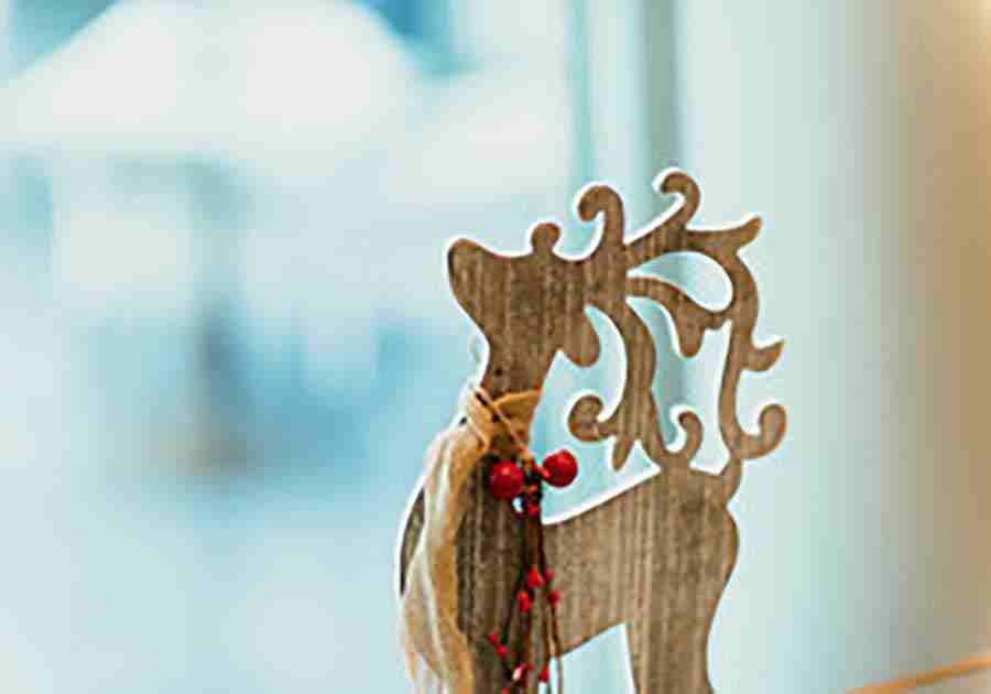 苏银奎照片