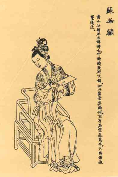 名人苏蕙的画像