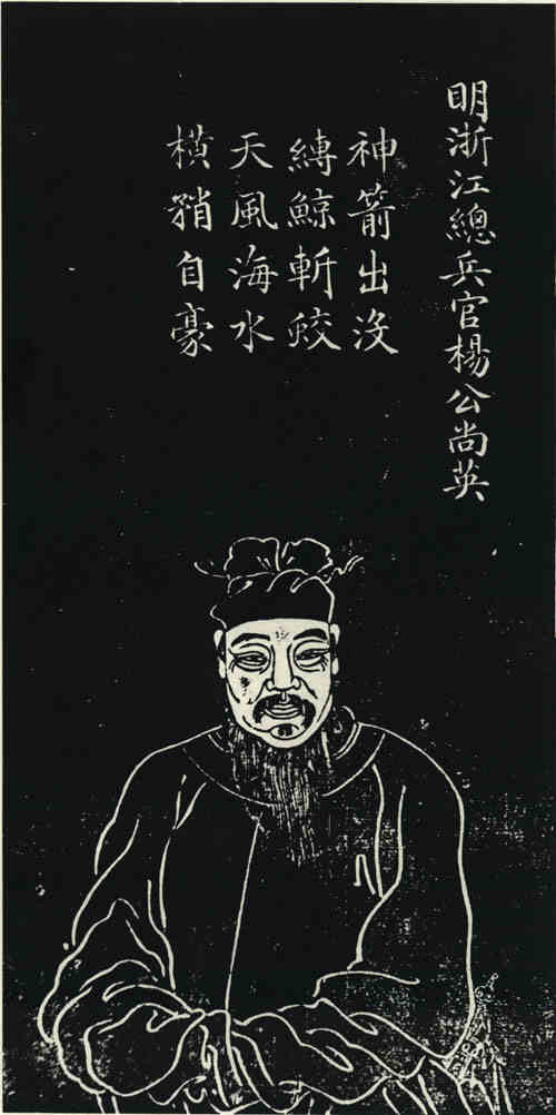 名人杨尚英画像