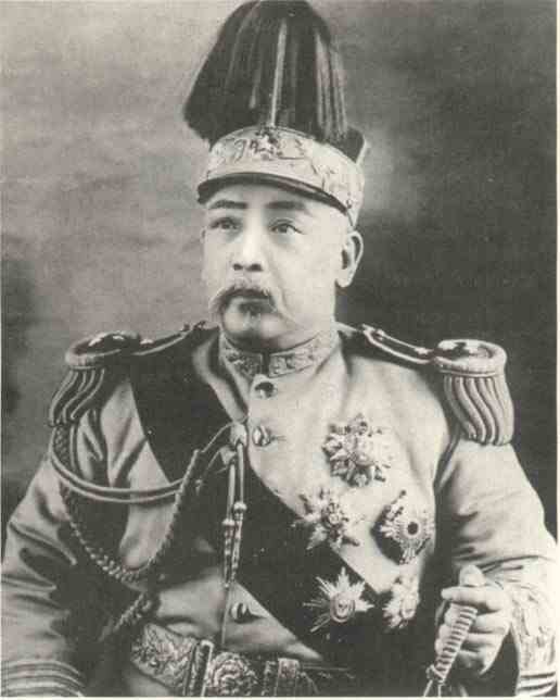 名人袁世凯画像