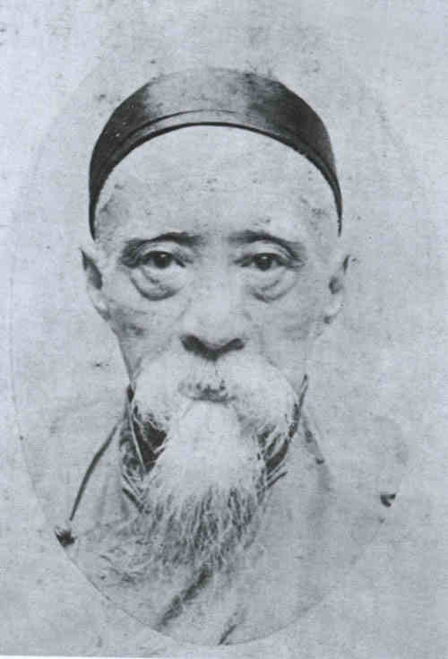 名人顾森书画像