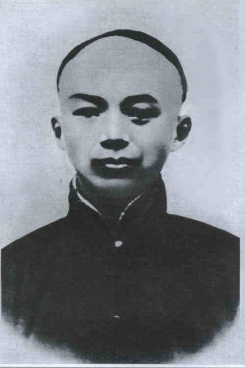 名人杨保恒画像