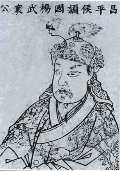 名人杨洪画像