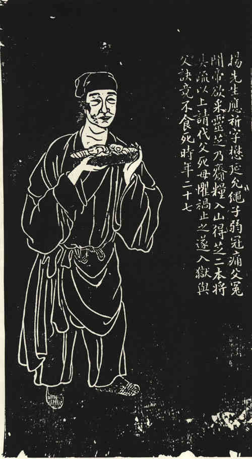 名人杨应祈画像