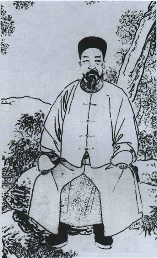名人杨岳斌画像