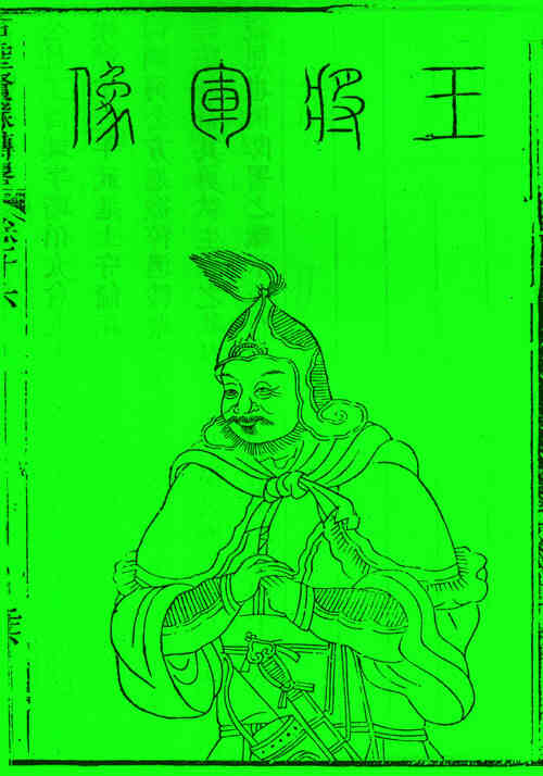 名人王玑画像