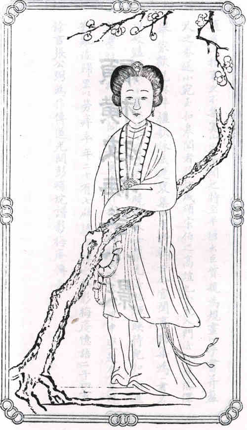 名人顾媚画像