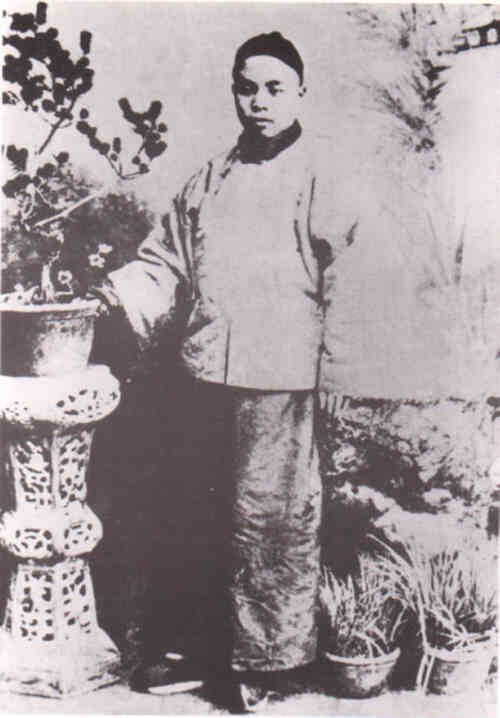 名人林旭画像
