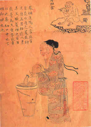 名人凤纲画像