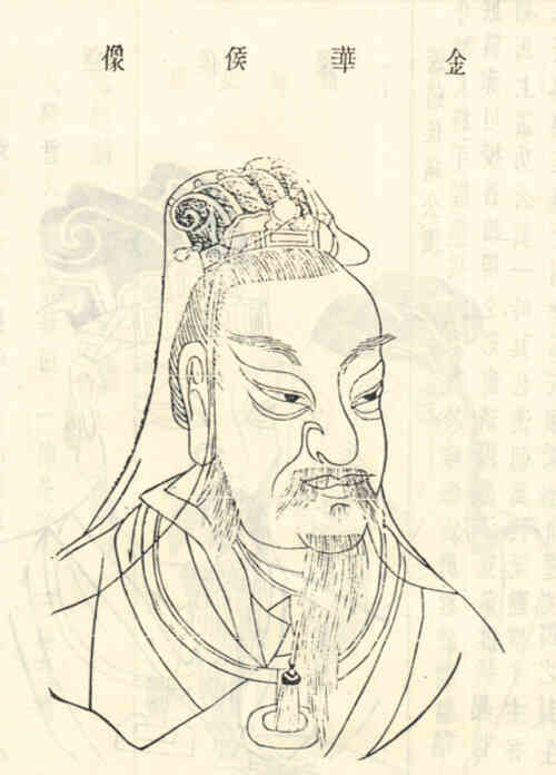 名人蒋颖的画像