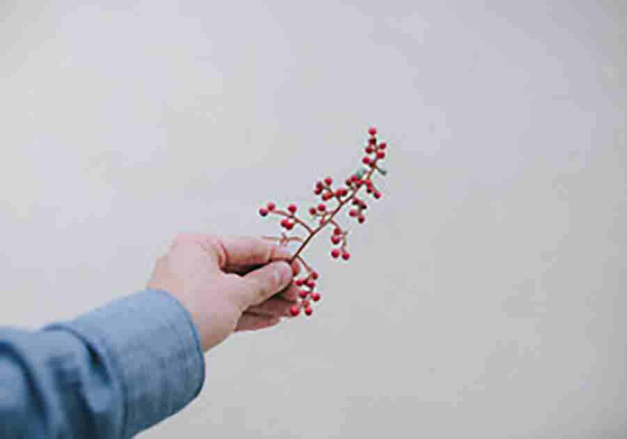 2020年鼠年生肖属兔的人财运怎么样