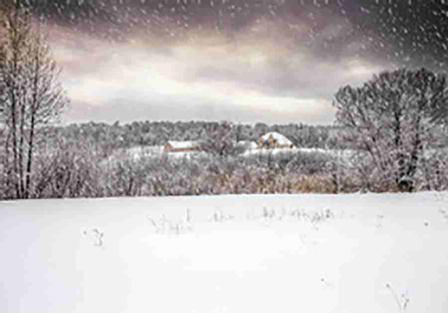 姓刘的男孩起名相关资料大全