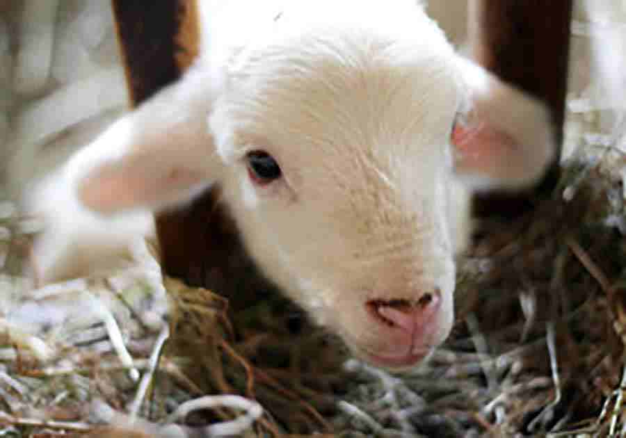 姓钱的历史名人大全，钱姓历代名人有哪些？