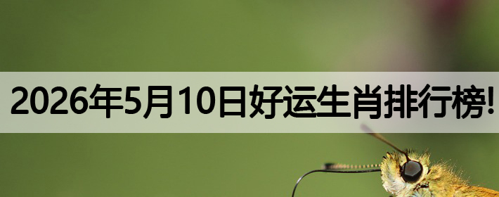 2026年5月10号好运生肖排名榜！