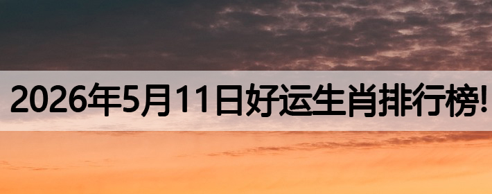 2026年5月11号好运生肖排名榜！