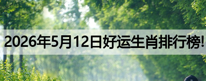 2026年5月12号好运生肖排名榜！