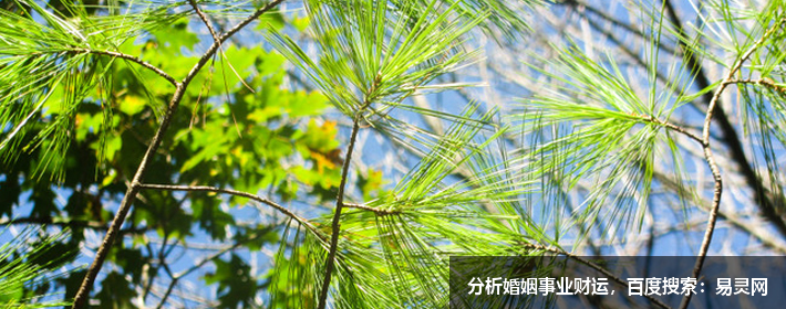2025高端大气的抖音网名