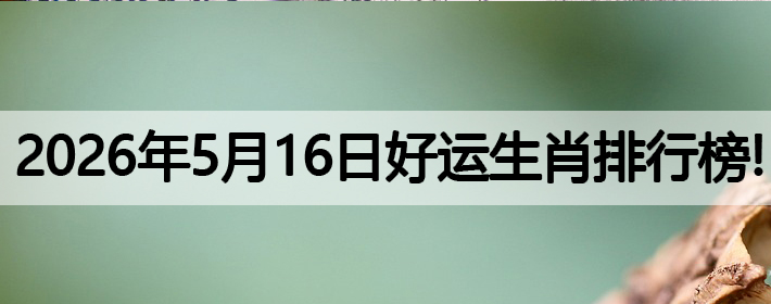 2026年5月16号好运生肖排名榜！