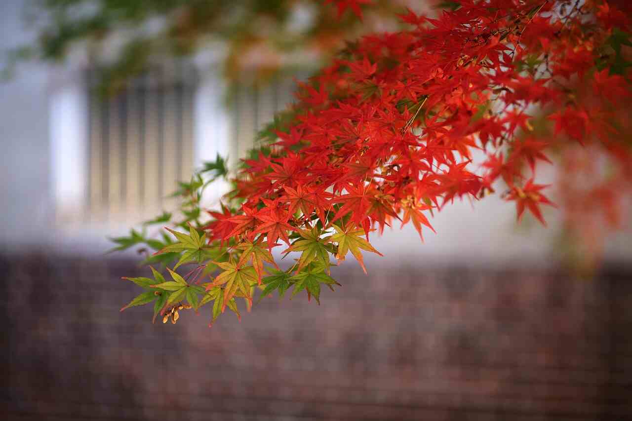 2026，改个很旺的微信昵称