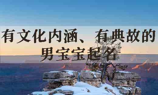 有文化内涵、有典故的男宝宝起名