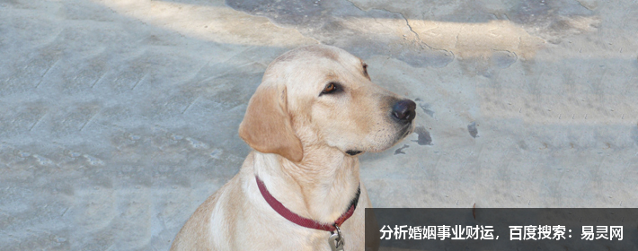 游戏网名男生伤感冷酷（游戏名字男生简短好听伤感）