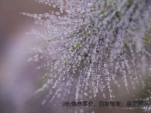 取个永久不换的二字微信昵称