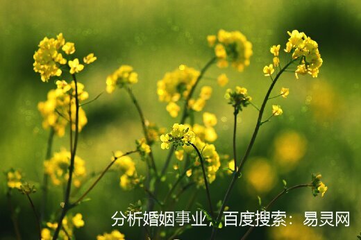 藏在诗经里的绝美昵称，好听到爆