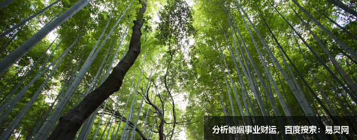 最不适合跟射手座在一起的4大星座，天生相克，注定不会有结果！