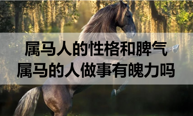 属马人的性格和脾气 属马的人做事有魄力吗