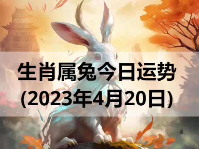 生肖属兔今日运势(2023年4月20日)