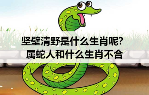 坚壁清野是什么生肖呢？属蛇人和什么生肖不合