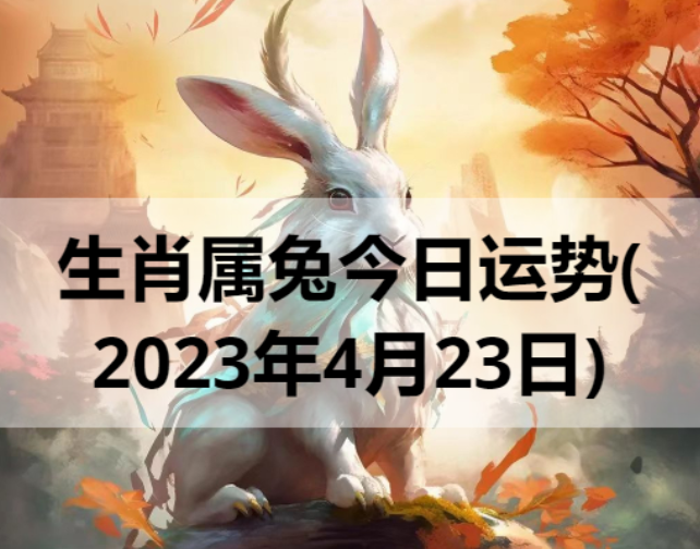 生肖属兔今日运势(2023年4月23日)