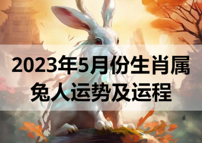 2023年5月份生肖属兔人运势及运程
