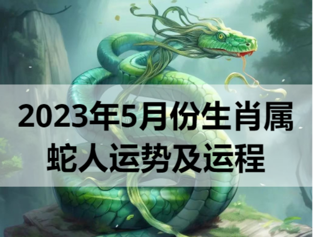 2023年5月份生肖属蛇人运势及运程