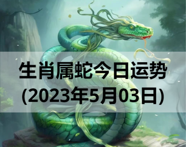 生肖属蛇今日运势(2023年5月03日)