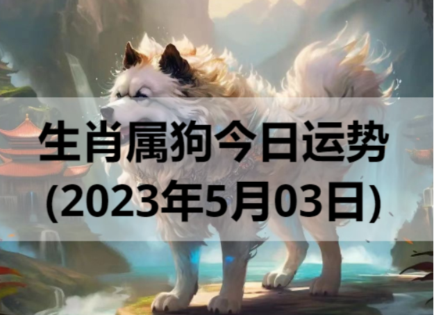 生肖属狗今日运势(2023年5月03日)