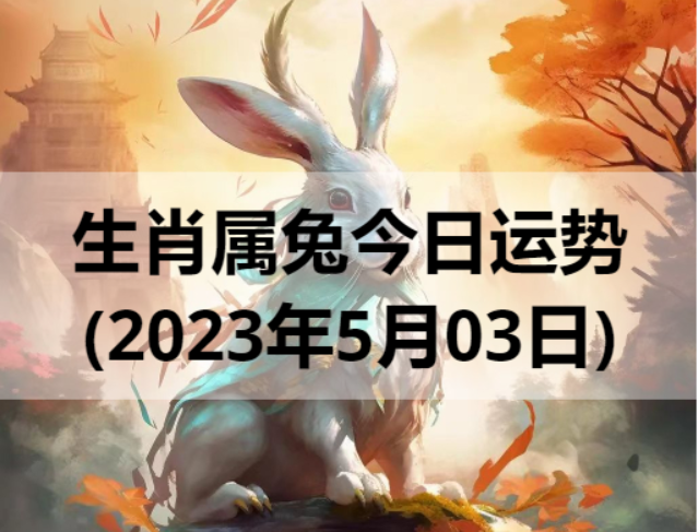 生肖属兔今日运势(2023年5月03日)