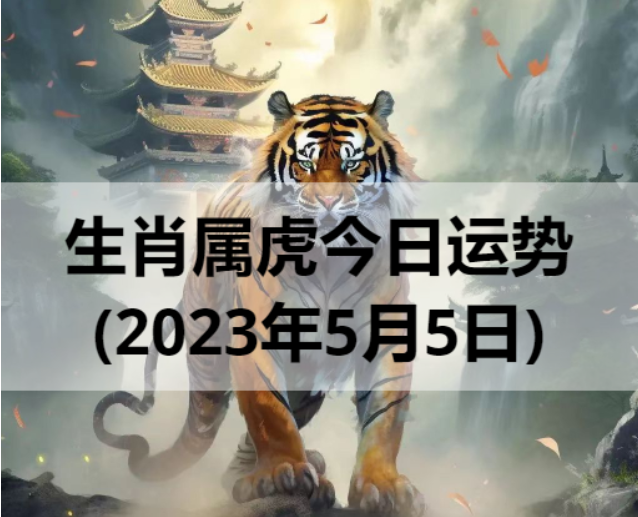 生肖属虎今日运势(2023年5月5日)