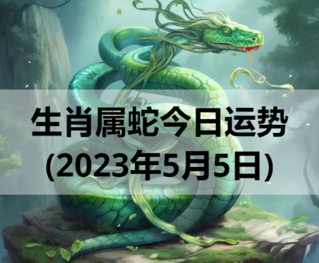 生肖属蛇今日运势(2023年5月5日)