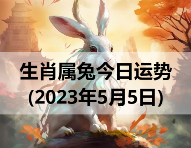 生肖属兔今日运势(2023年5月5日)