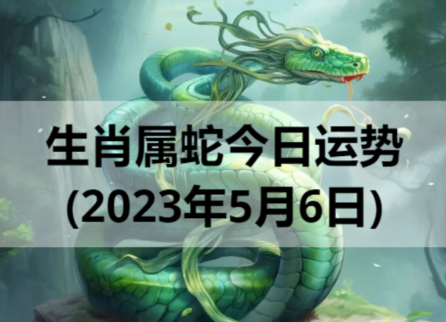 2023年生肖属蛇的人5月6日运势