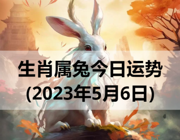2023年生肖属兔的人5月6日运势