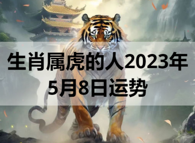 生肖属虎的人2023年5月8日运势
