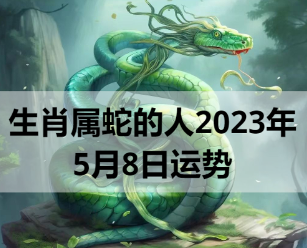生肖属蛇的人2023年5月8日运势