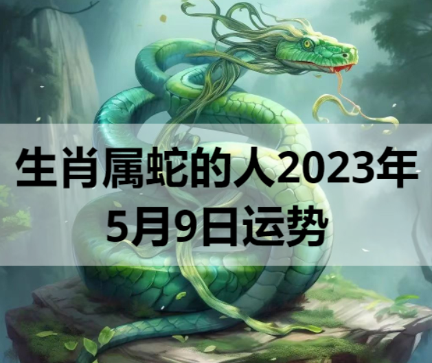 生肖属蛇的人2023年5月9日运势