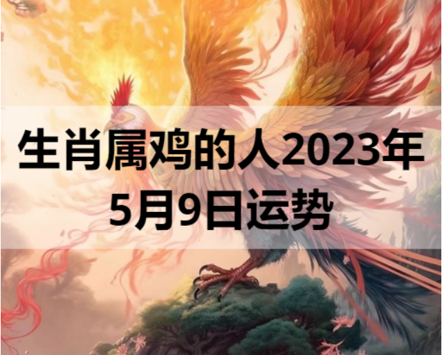 生肖属鸡的人2023年5月9日运势
