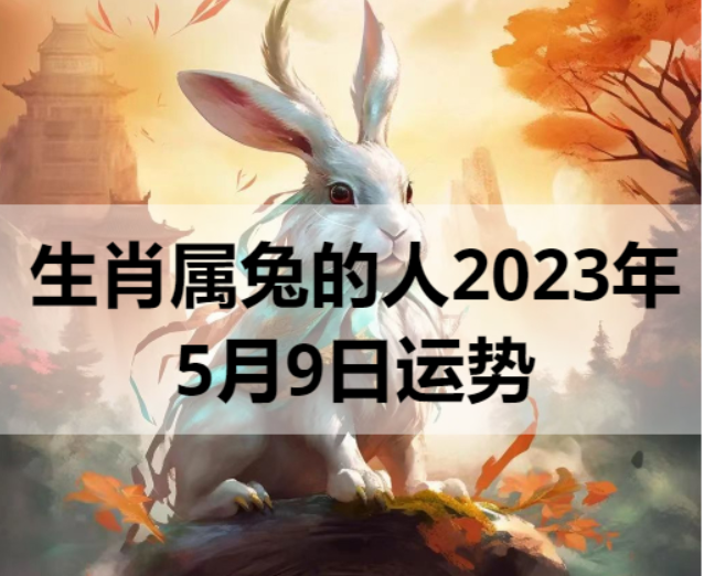   生肖属兔的人2023年5月9日运势