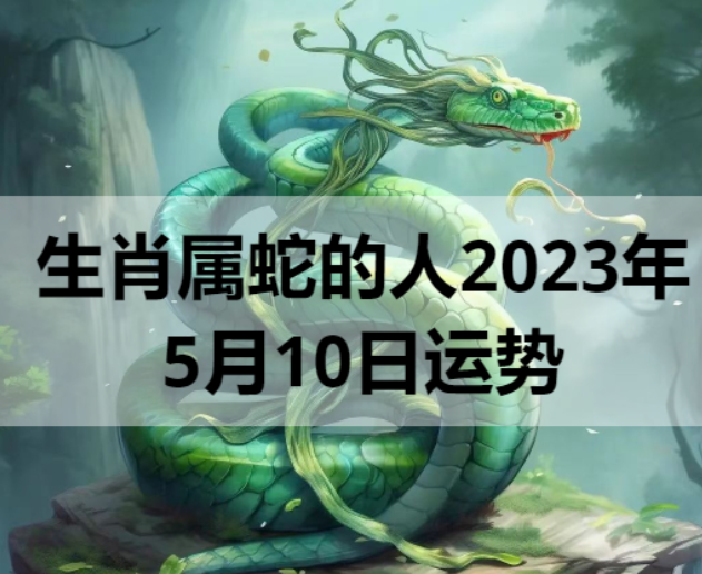 生肖属蛇的人2023年5月10日运势
