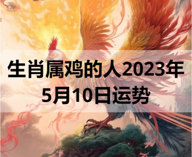 生肖属鸡的人2023年5月10日运势