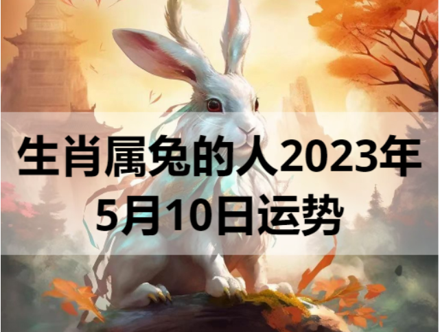生肖属兔的人2023年5月10日运势